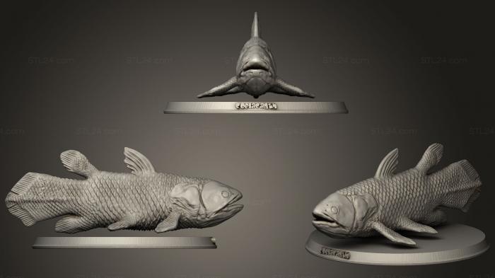 Animal figurines (Coelacanth, STKJ_0834) 3D models for cnc